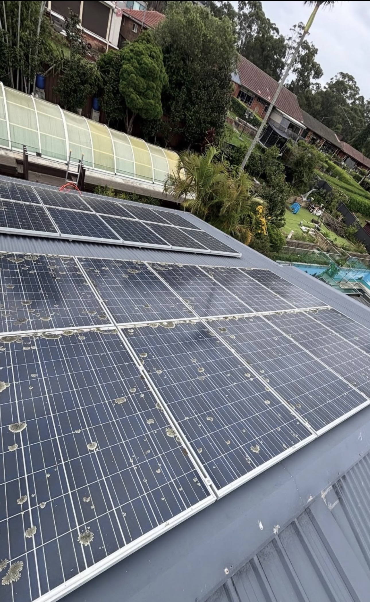 Panels with severe lichen and bird droppings