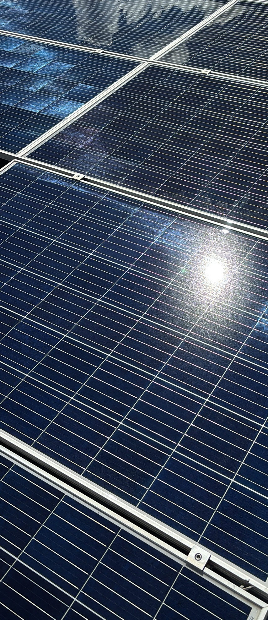 Professional solar cleaner at work