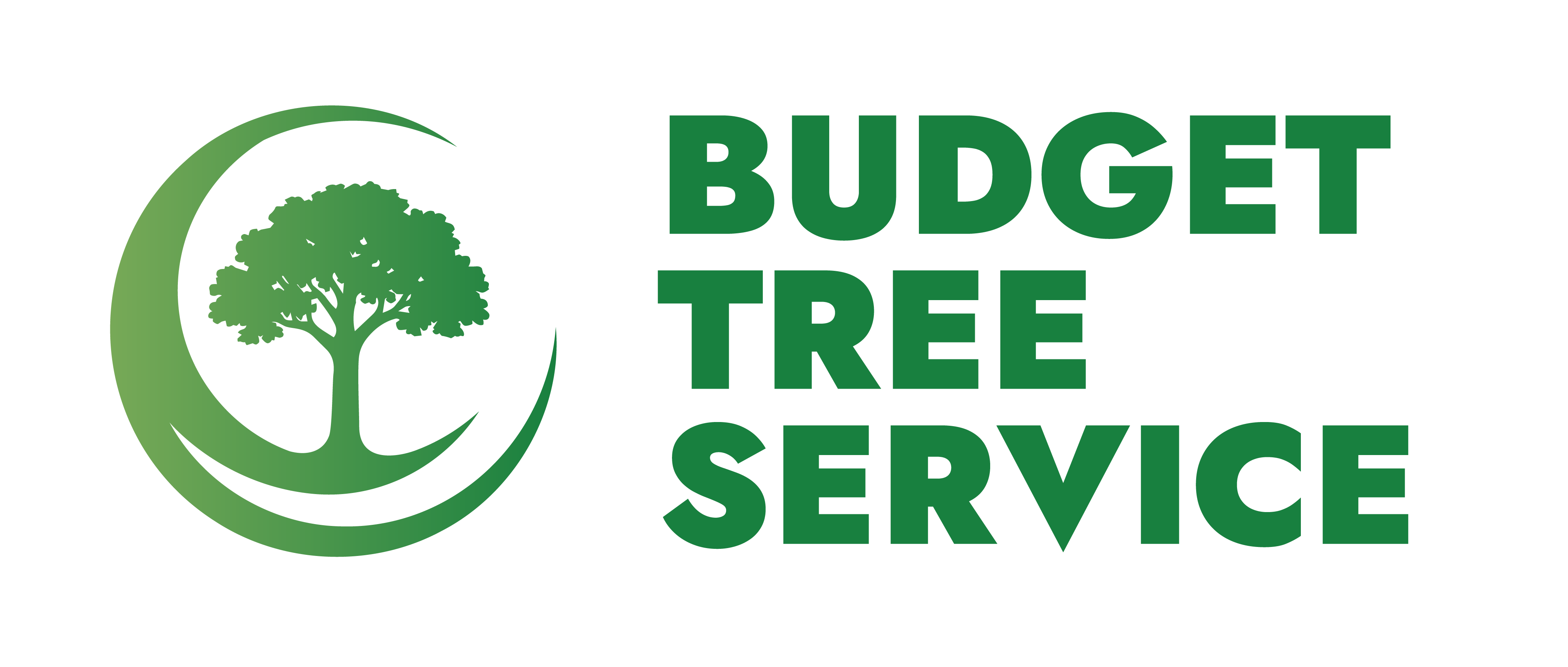 BUDGET TREE SERVICE QUEENSLAND PTY LTD Logo