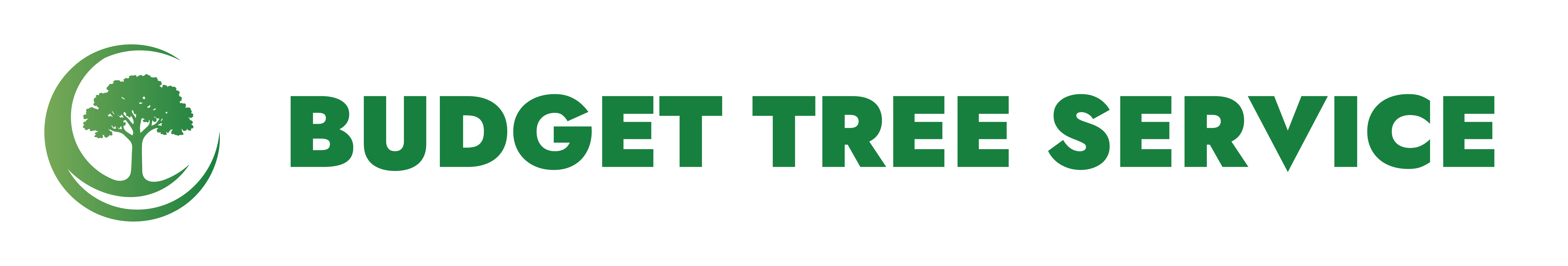 BUDGET TREE SERVICE QUEENSLAND PTY LTD Logo