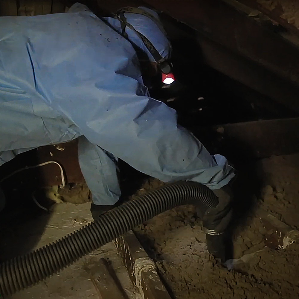 Dust extraction service