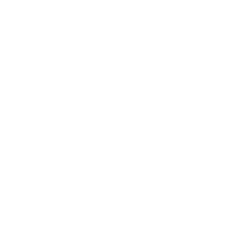 Premium Service Icon