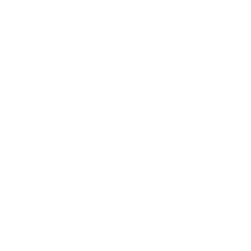 Automotive Styling Icon