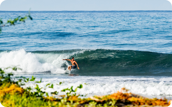 Pop-ups and Surfing Exercises