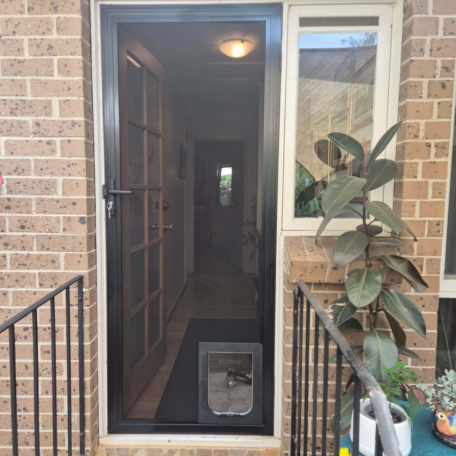 Pet Doors & Extras