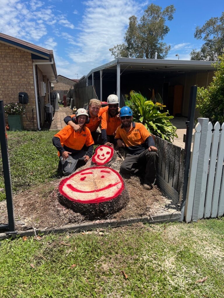 Stump Grinding Work