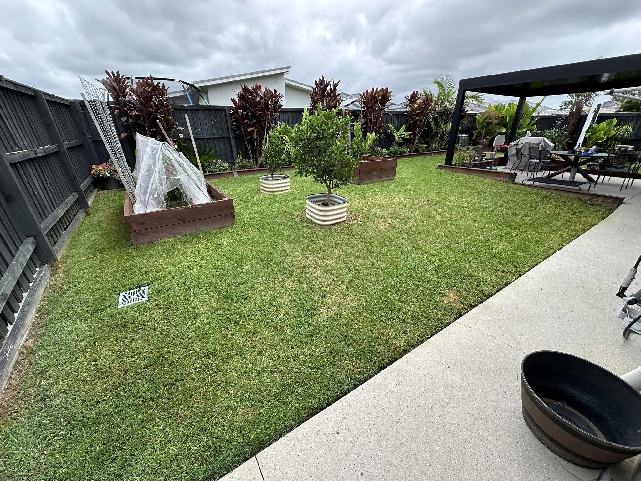 Lush thick green grass lawn treated with nutrients