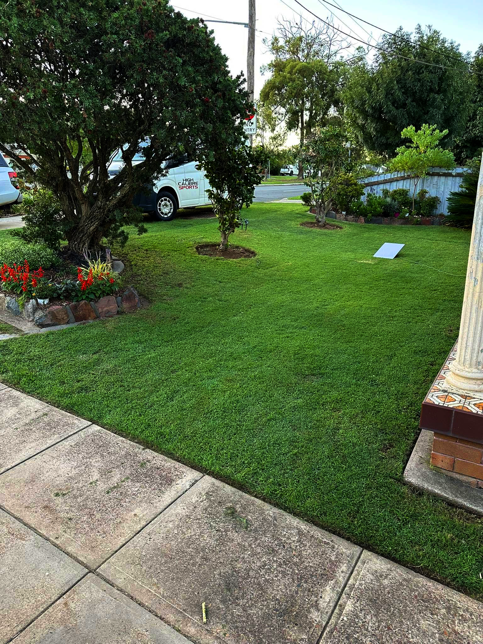 Freshly mowed lawn stripes indicating professional lawn care
