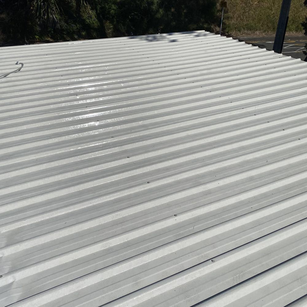 Roof Washing Service
