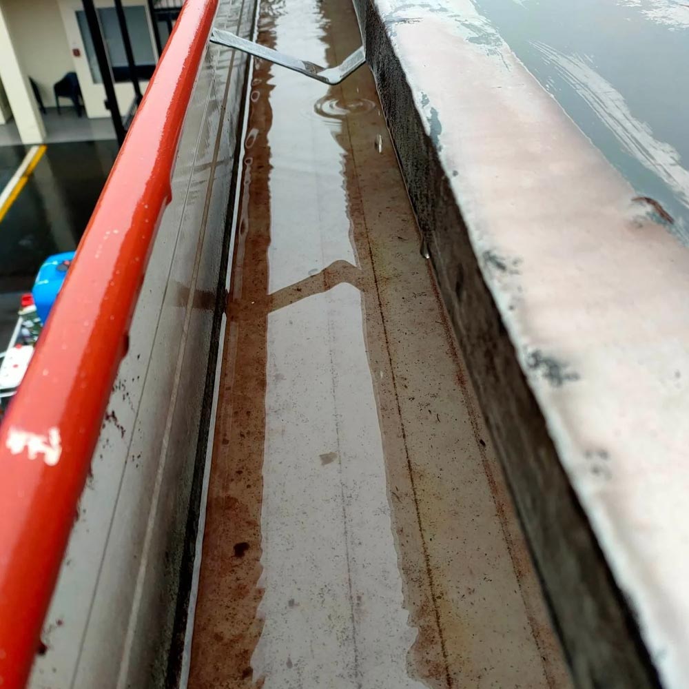 Gutter Cleaning Service