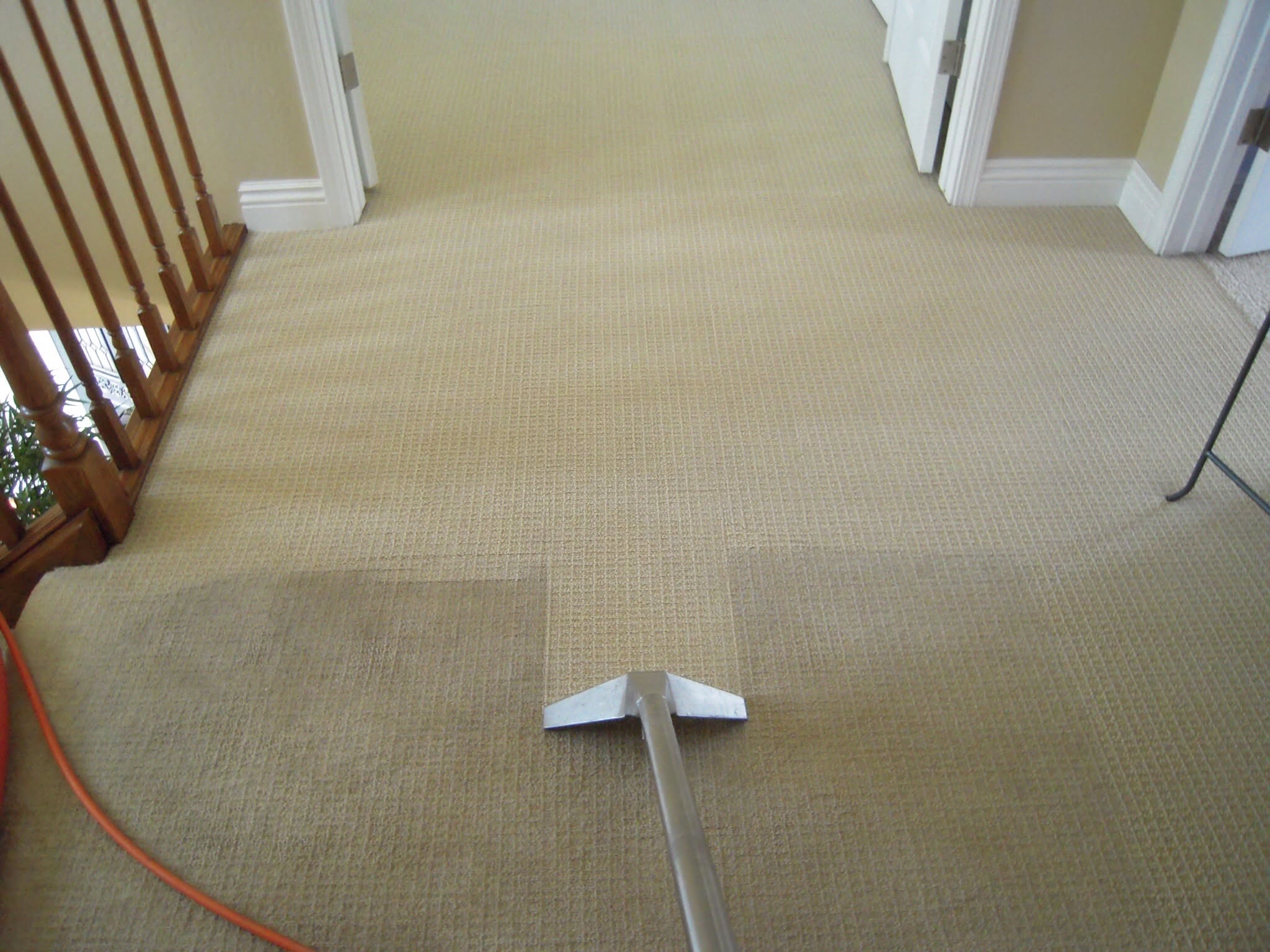 Professional Carpet Steam Cleaning