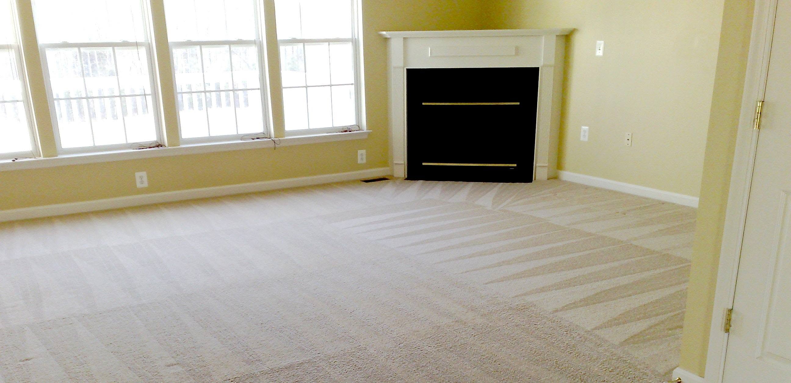 Brisbane & Gold Coast’s Premium Carpet & Pest Specialists