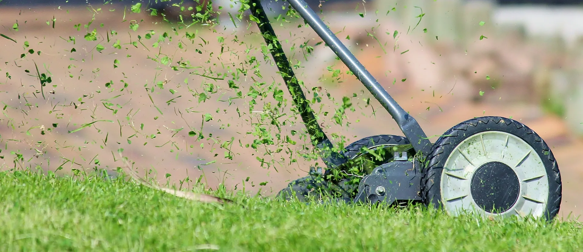 Small Lawn Service