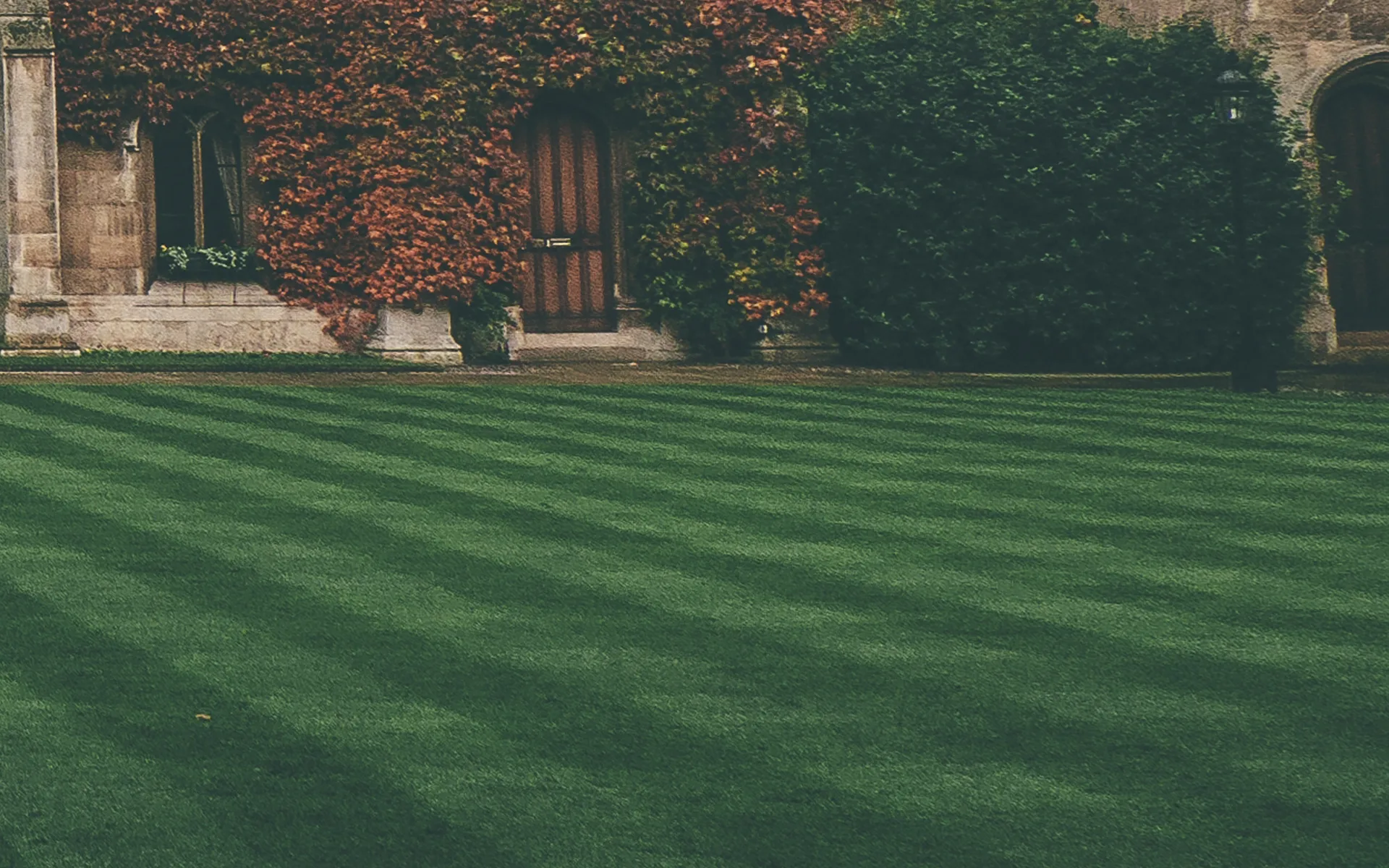 Professional lawn care and yard maintenance in Brisbane