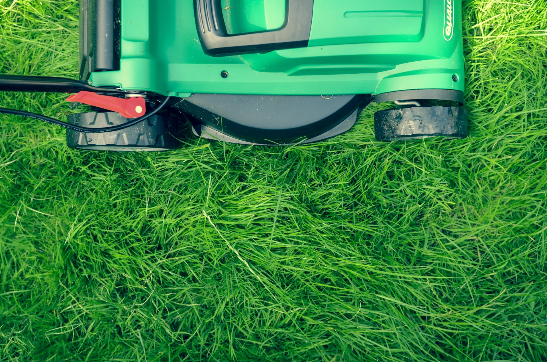 Medium Lawn Service
