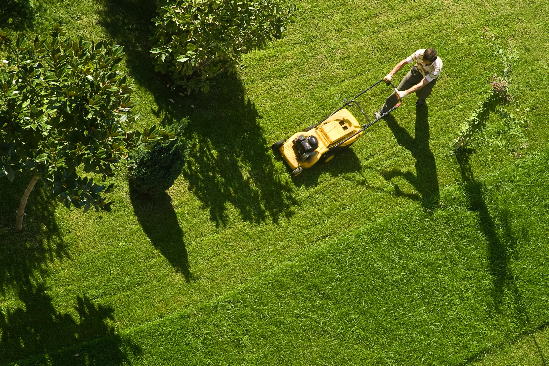 Large Lawn Service