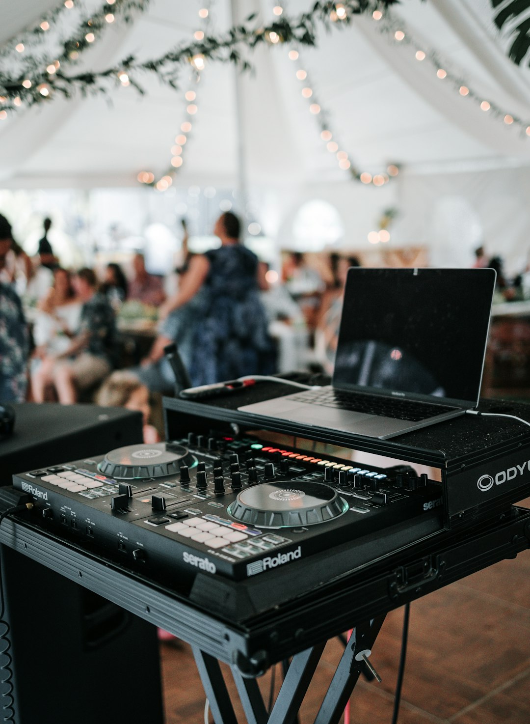 DJ and MC experience package