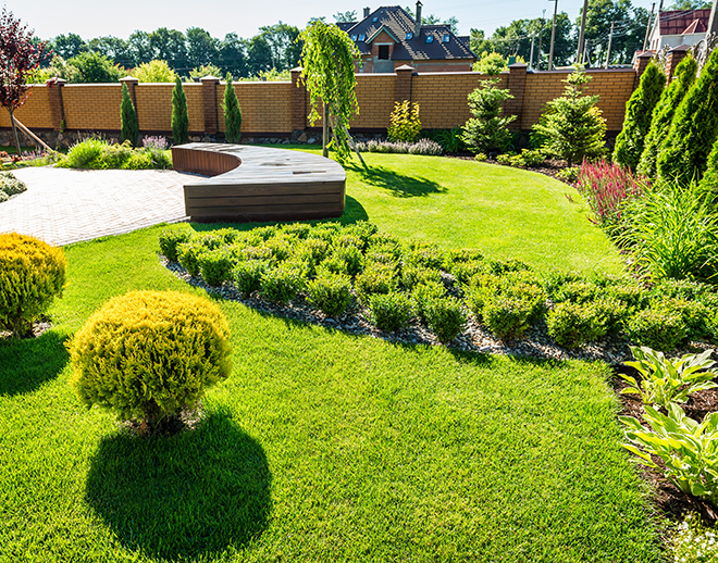 Garden Maintenance and Clearance