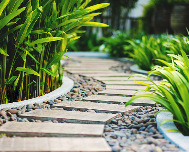 Garden Decking and Lighting