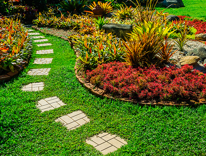 Landscape Hedges and Mulch