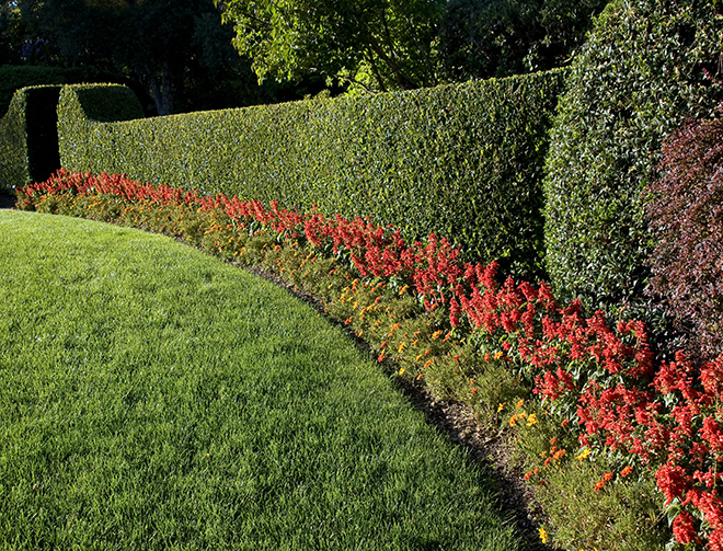 Landscape Design Plans