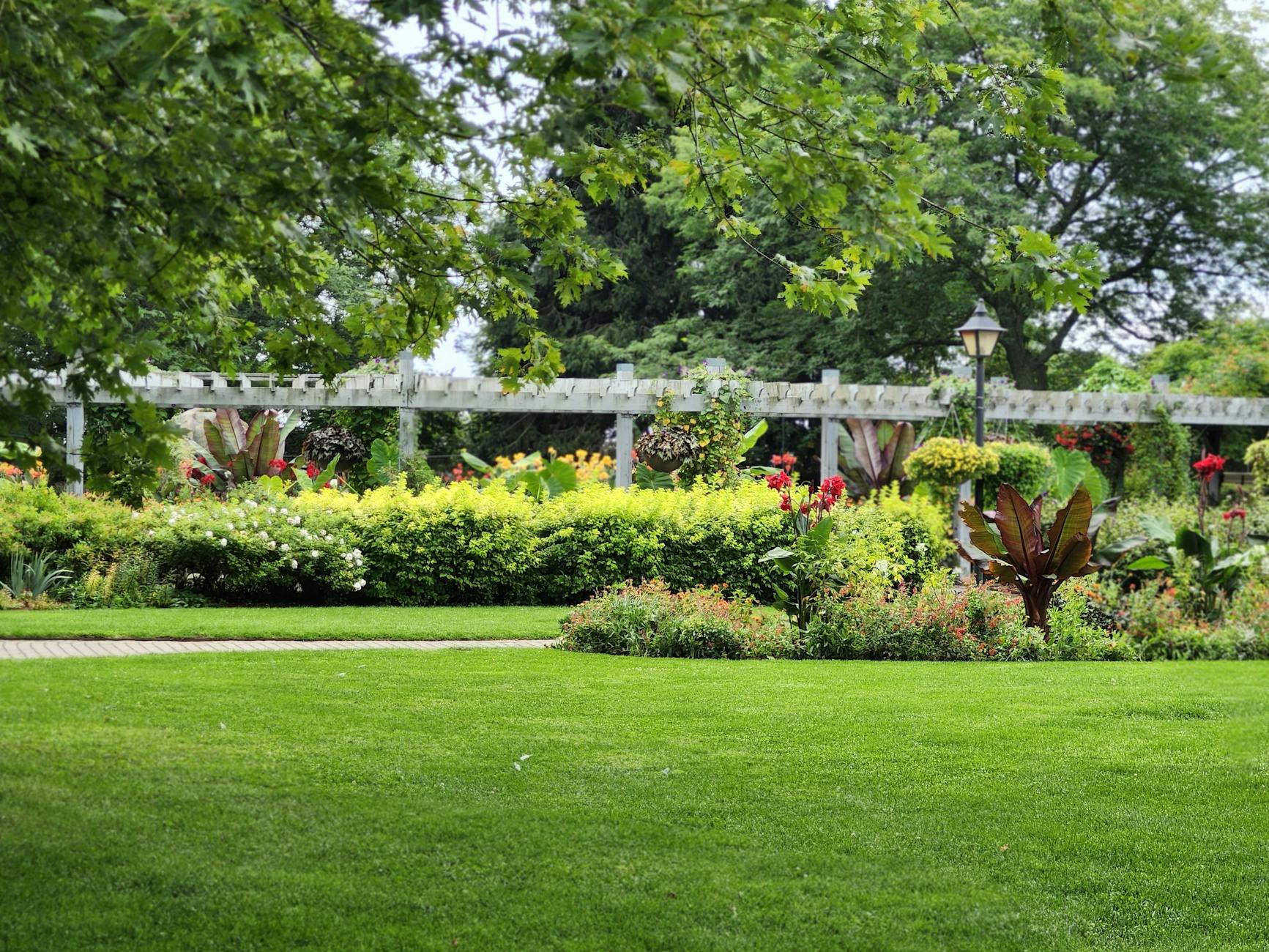 Beautiful landscaped garden in Auckland