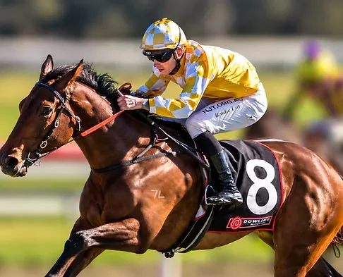 Second Horse Name